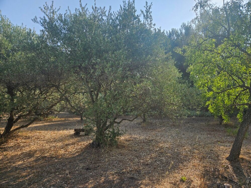 vente Maison - 5 pièce(s) - 93 m² Les Pennes-Mirabeau (13170)