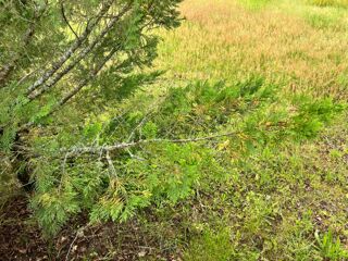  Terrain � vendre 850 m�