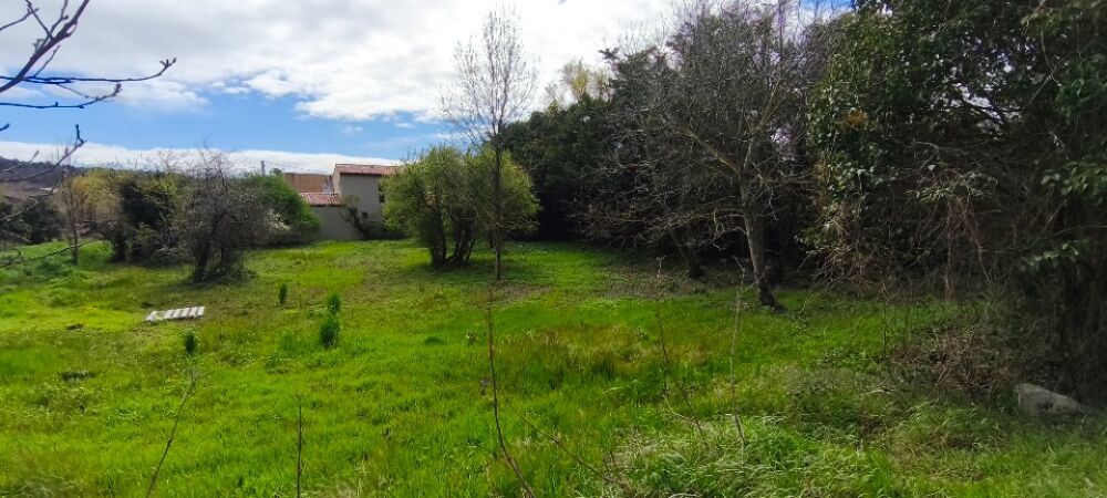 vente Terrain - 2000 m² Montélimar (26200)