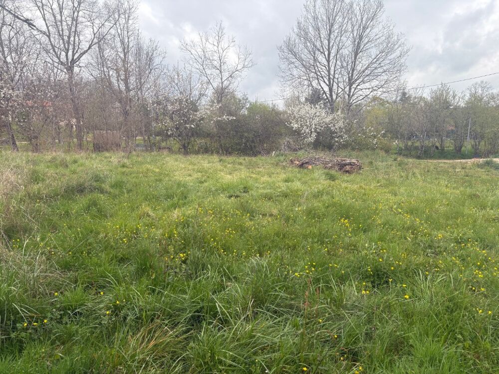 vente Terrain - 784 m² Mézens (81800)