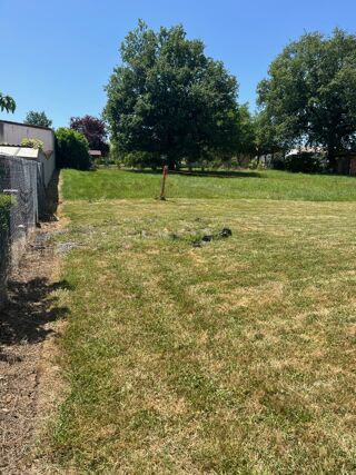  Terrain 905 m� Albi