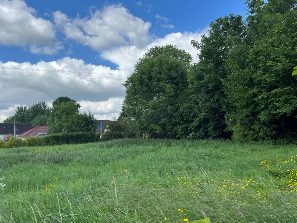 vente Terrain - 1306 m² Berneuil (80620)