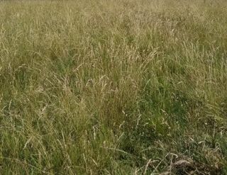  Terrain  vendre 775 m