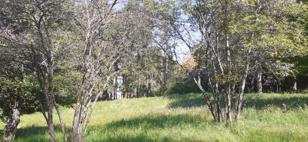 vente Terrain - 434 m² Saint-Bonnet-en-Champsaur (05500)