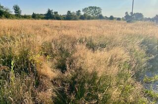  Terrain � vendre 956 m�