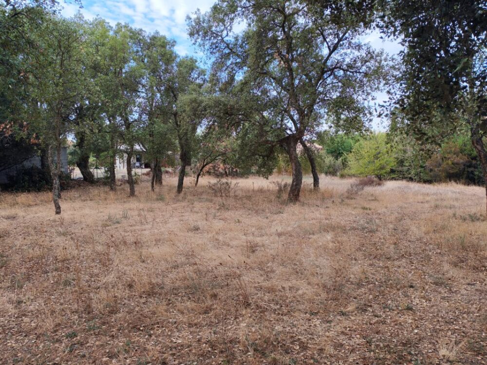vente Terrain - 450 m² Le Cannet-des-Maures (83340)