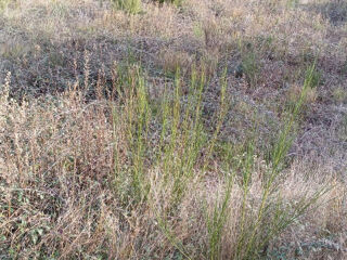  Terrain � vendre 255 m�