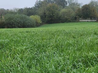  Terrain 543 m� Bourg-saint-christophe