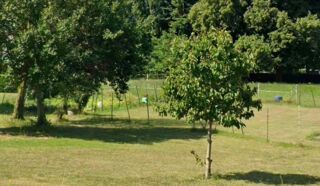  Maison � vendre 5 pi�ces 95 m�