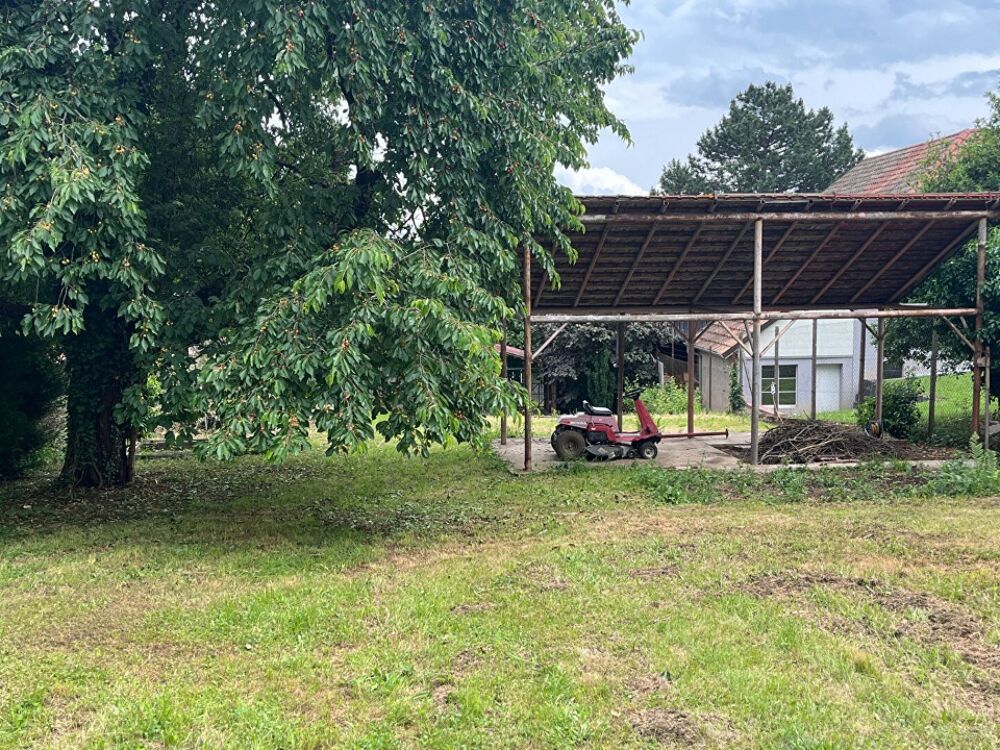 vente Terrain - 1300 m² Heiligenstein (67140)