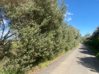  Terrain � vendre 435 m�