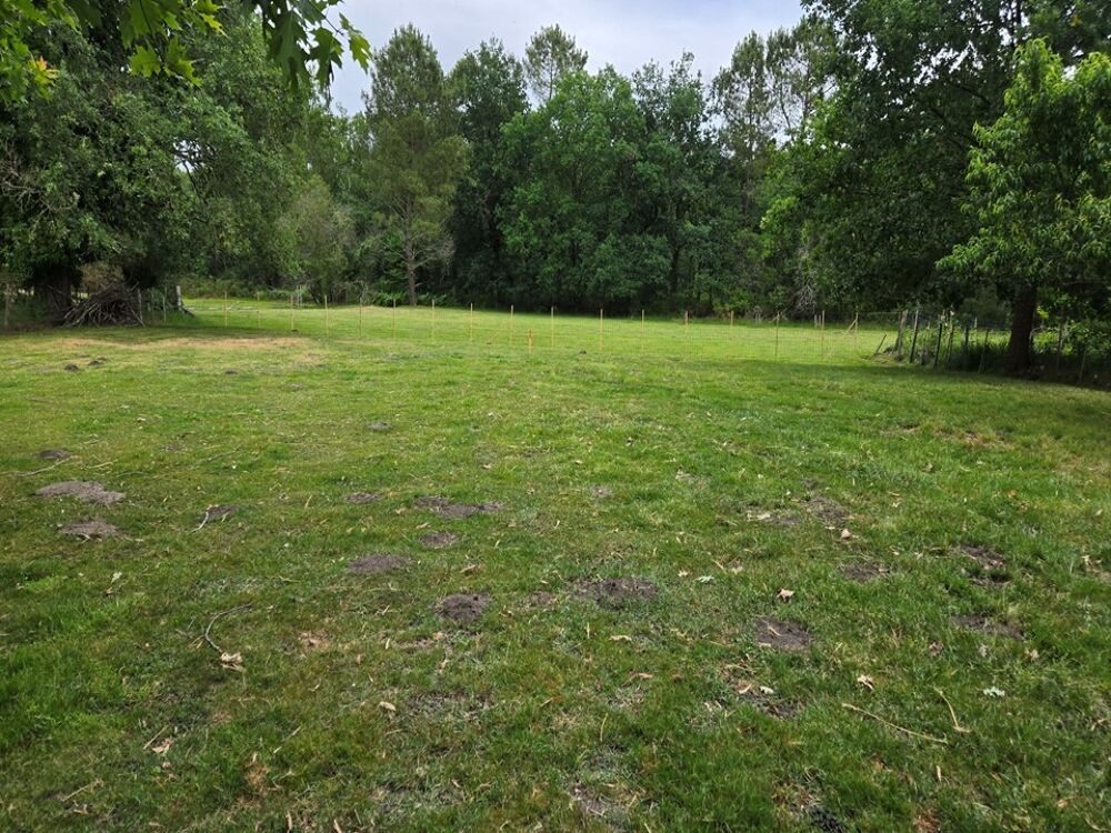vente Terrain - 770 m² Saint-Mariens (33620)