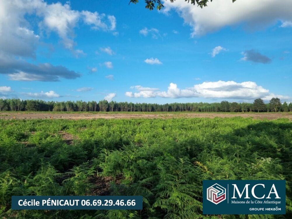 vente Maison - 4 pièce(s) - 95 m² Laluque (40465)