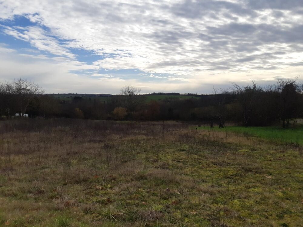 vente Terrain - 600 m² Saint-Jean-Lherm (31380)