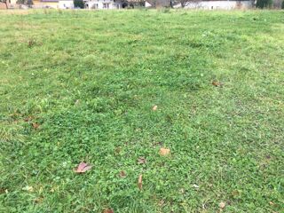  Terrain 2950 m� Dompierre-sur-veyle