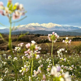  Terrain � vendre 1084 m�