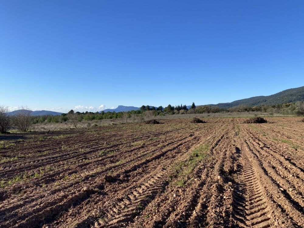 vente Terrain - 700 m² Puget-Ville (83390)
