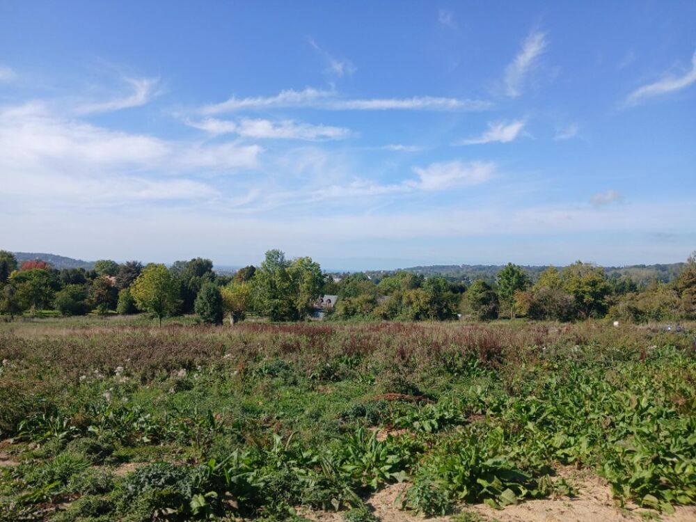 vente Terrain - 857 m² Bonneville-sur-Touques (14800)