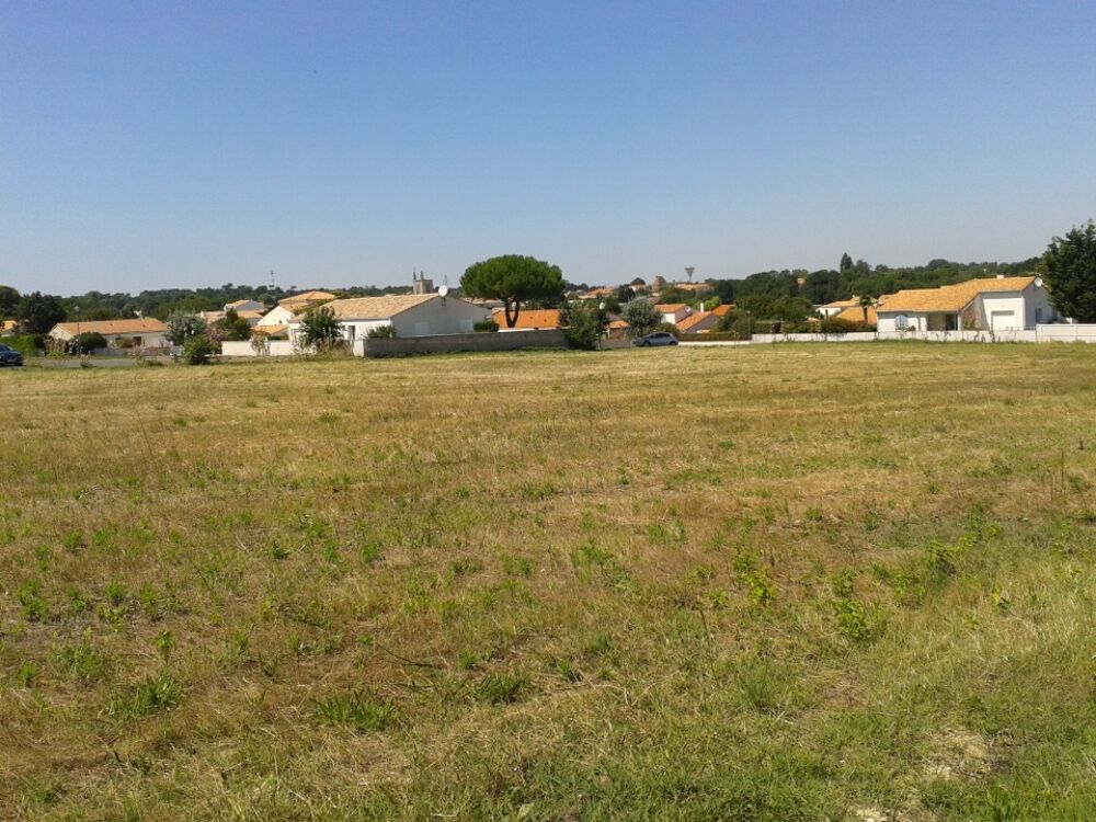 vente Terrain - 1553 m² Médis (17600)