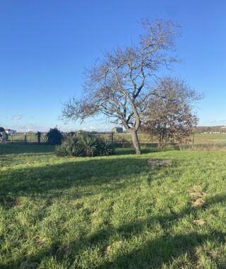 Maison à vendre 3 pièces 50 m²