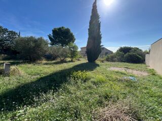  Maison 6 pi�ces 110 m� Montpeyroux