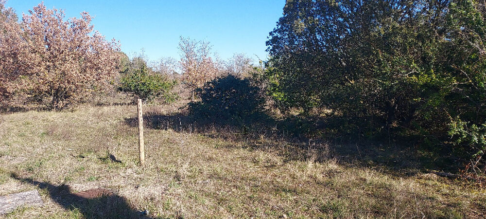 vente Maison - 5 pièce(s) - 90 m² L'Isle-sur-la-Sorgue (84800)
