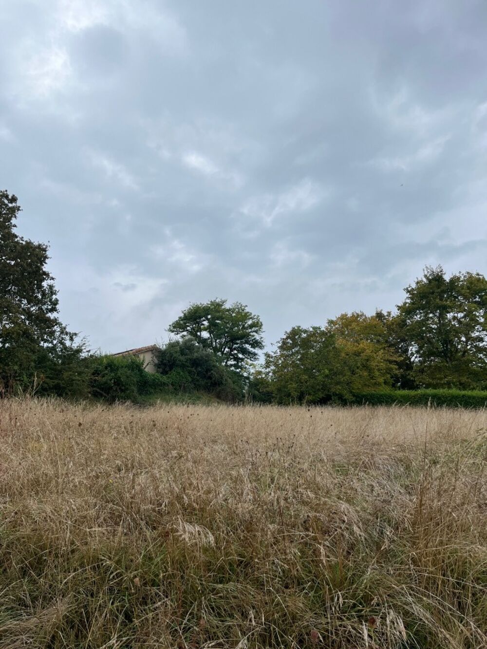 vente Maison - 4 pièce(s) - 125 m² Castelnau-de-Montmiral (81140)
