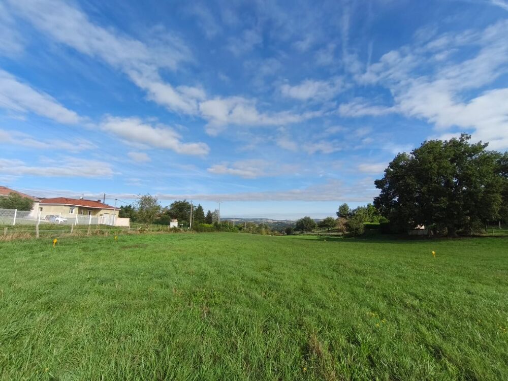 vente Terrain - 982 m² Graulhet (81300)