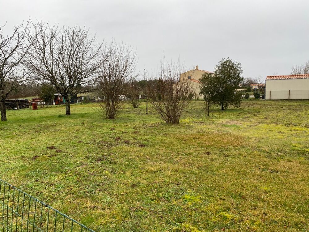 vente Terrain - 580 m² Rochefort (17300)