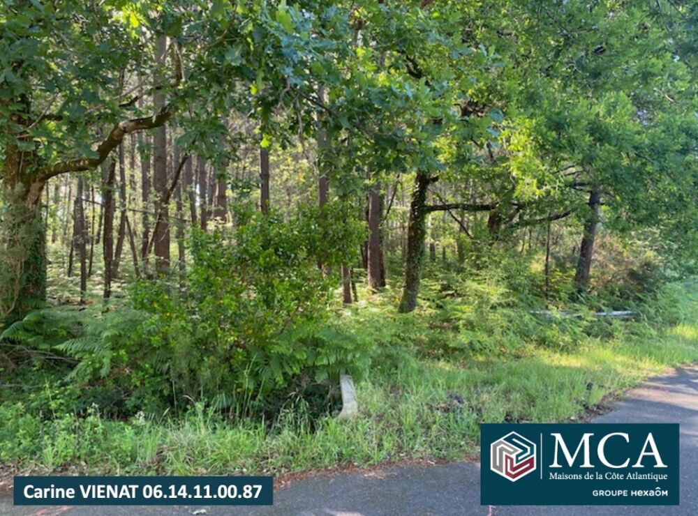 vente Terrain - 650 m² Sanguinet (40460)