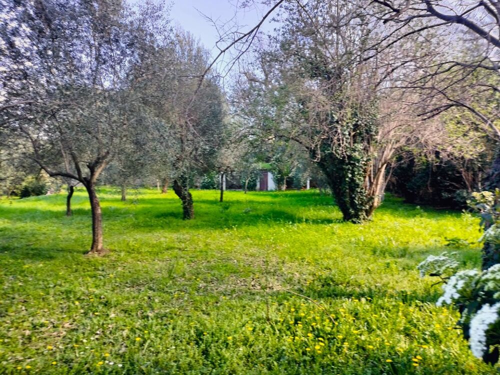 vente Terrain - 1000 m² Draguignan (83300)