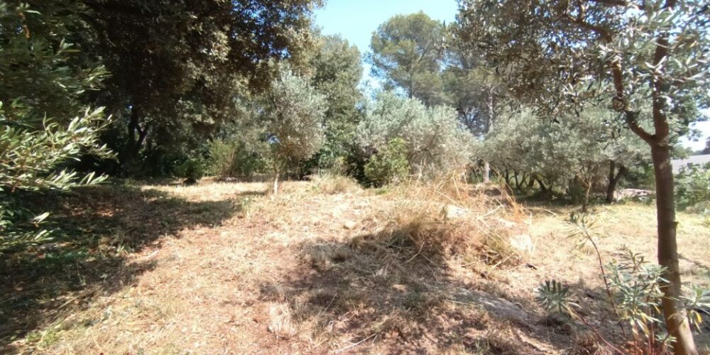vente Terrain - 1000 m² Pélissanne (13330)