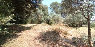  Terrain à vendre 1000 m²