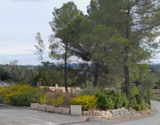  Terrain � vendre 774 m�