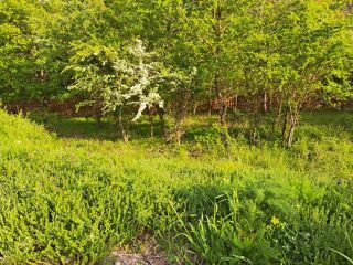  Terrain � vendre 580 m�