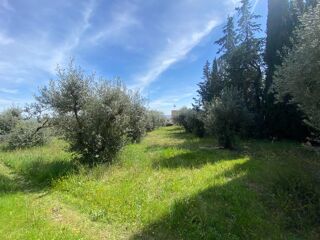  Terrain 672 m� Sainte-tulle