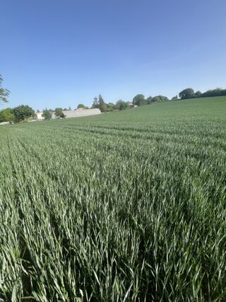  Maison 4 pi�ces 100 m� Castelnau-montratier