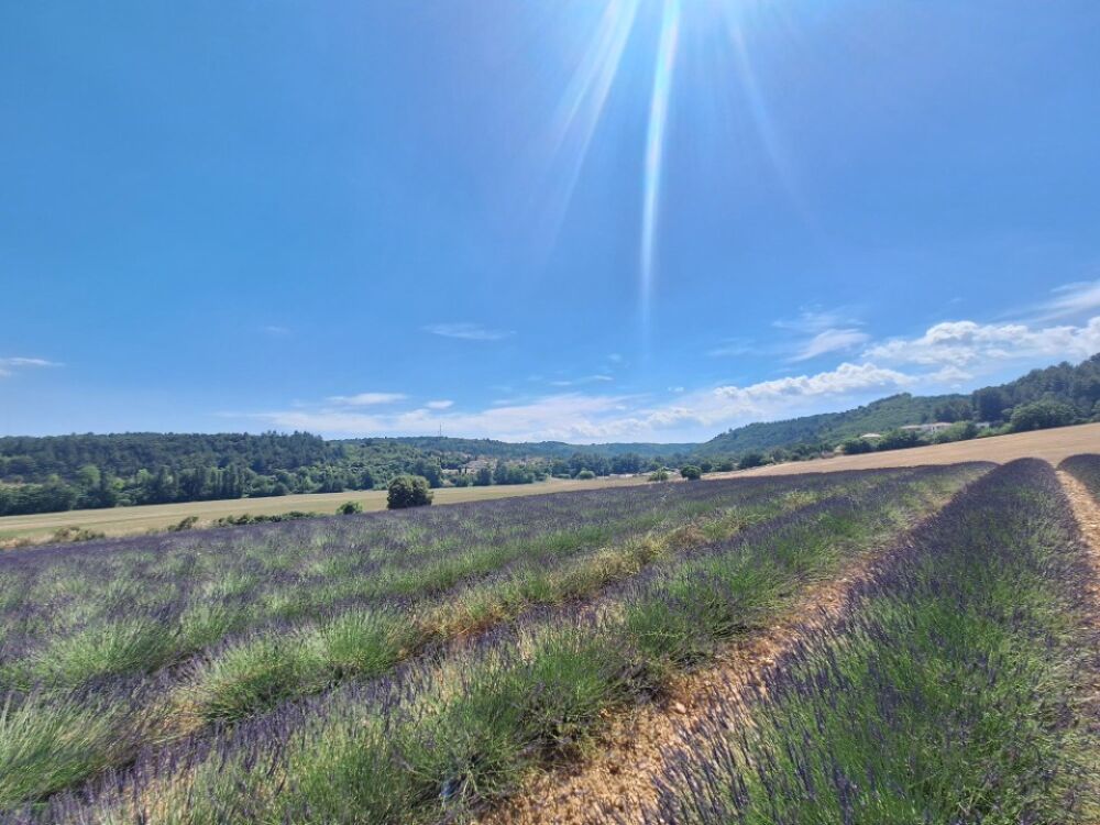 vente Terrain - 777 m² Roumoules (04500)