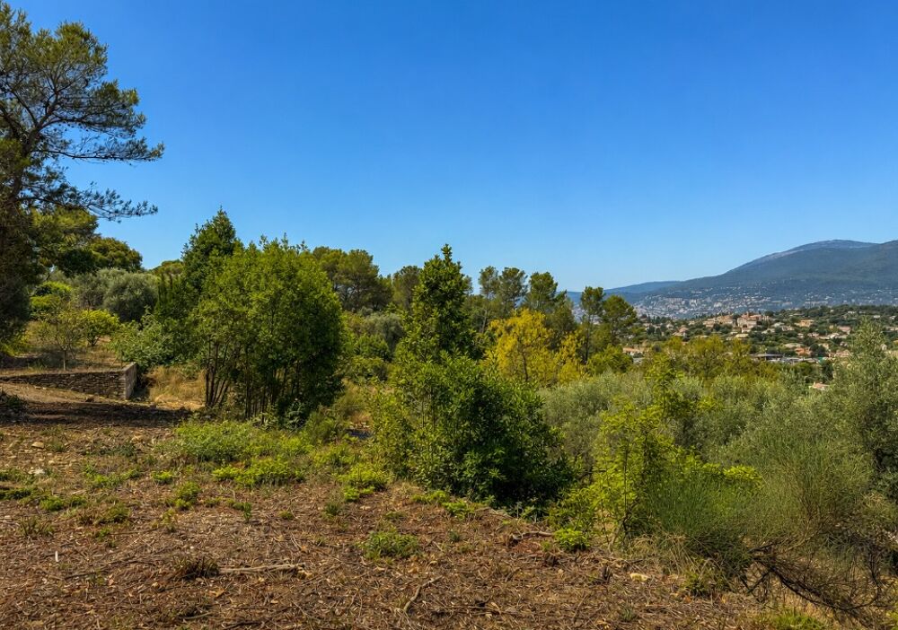 vente Terrain - 1638 m² Mouans-Sartoux (06370)