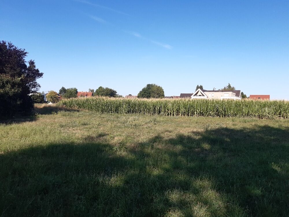 vente Terrain - 640 m² Eschau (67114)