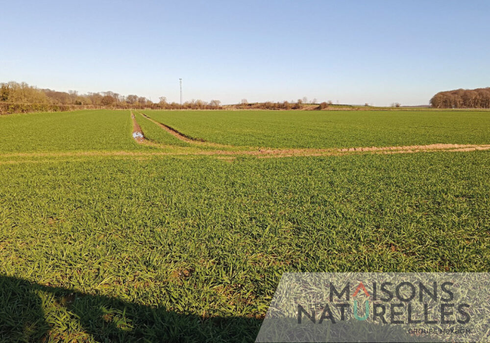vente Terrain - 1100 m² Estréelles (62170)
