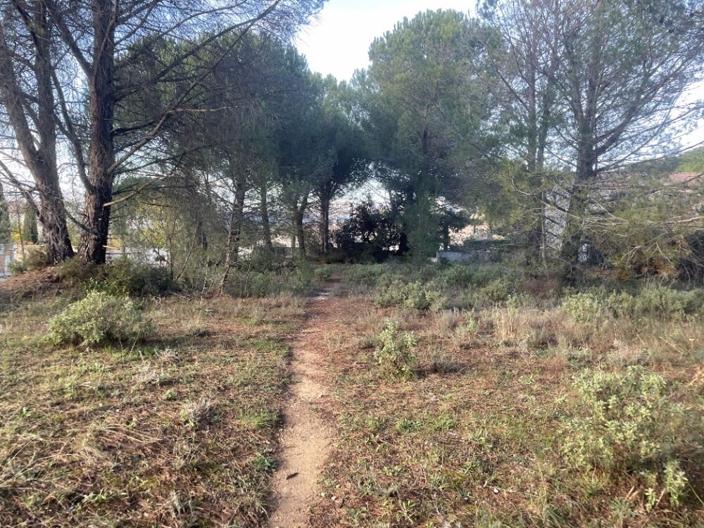 Alleins(13980) nouveau exclusivité, Maisons France Confo....