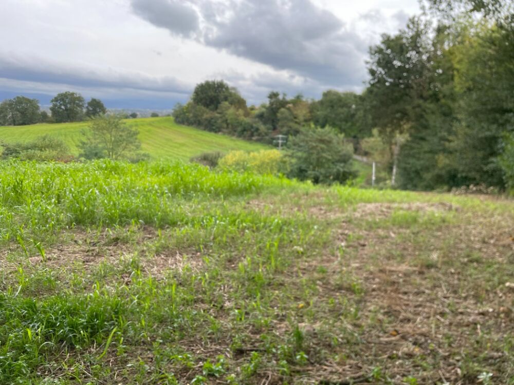 vente Terrain - 1288 m² Saint-Affrique-les-Montagnes (81290)