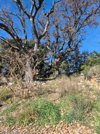  Terrain � vendre 804 m�