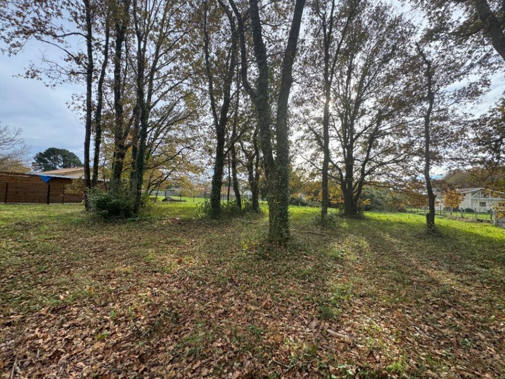 vente Terrain - 1804 m² Lesparre-Médoc (33340)