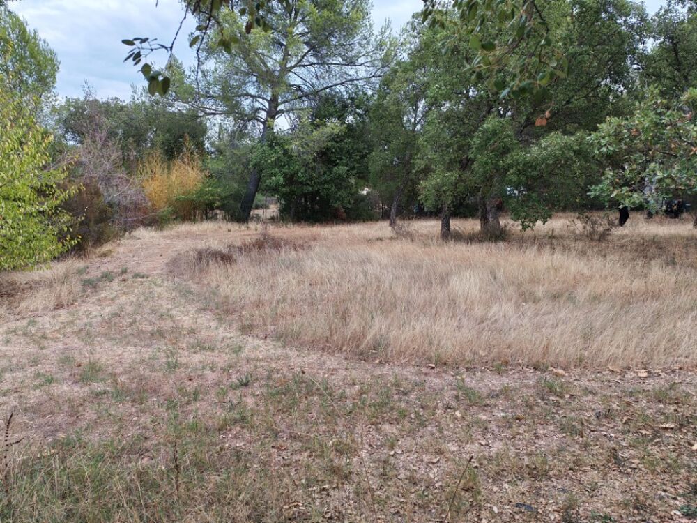 vente Terrain - 450 m² Le Cannet-des-Maures (83340)