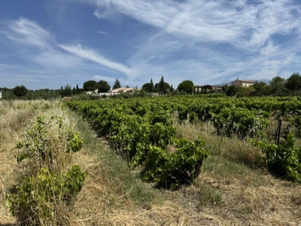 vente Maison - 5 pièce(s) - 93 m² Mazan (84380)