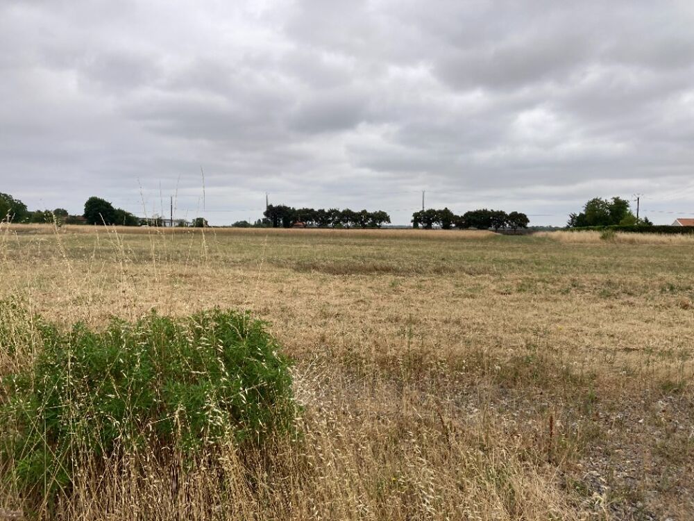 vente Terrain - 1065 m² Villefagnan (16240)