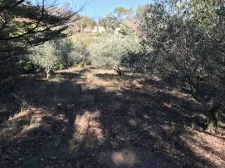  Terrain � vendre 559 m�