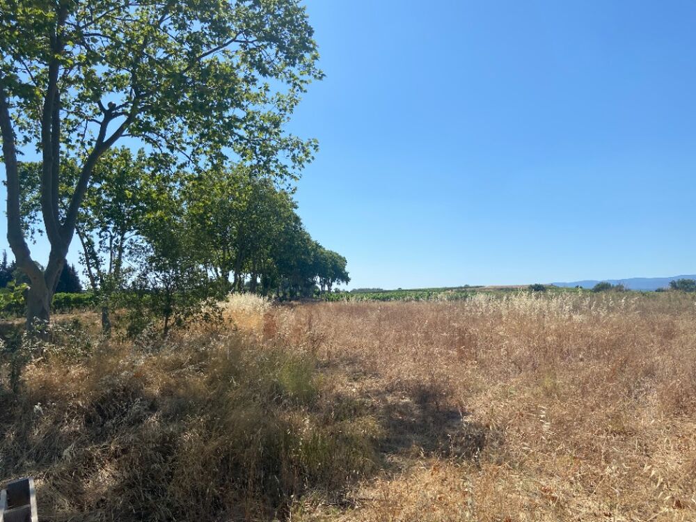 vente Maison - 6 pièce(s) - 101 m² Olonzac (34210)